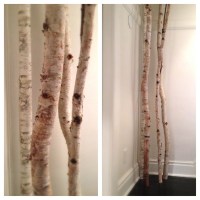 BIRCH TREE PIPES
